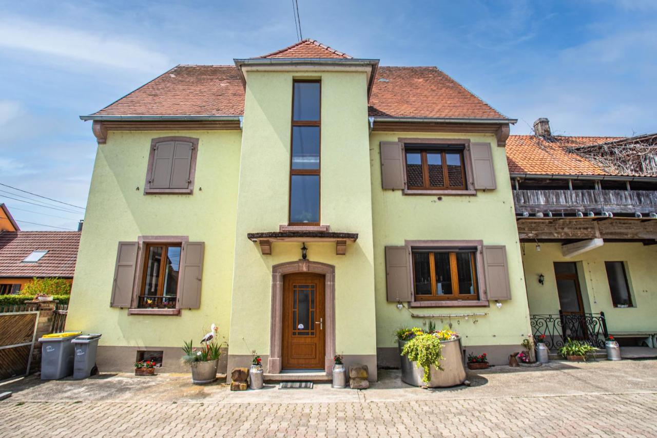 Gite Le Coeur D'Alsace Boofzheim Exterior photo