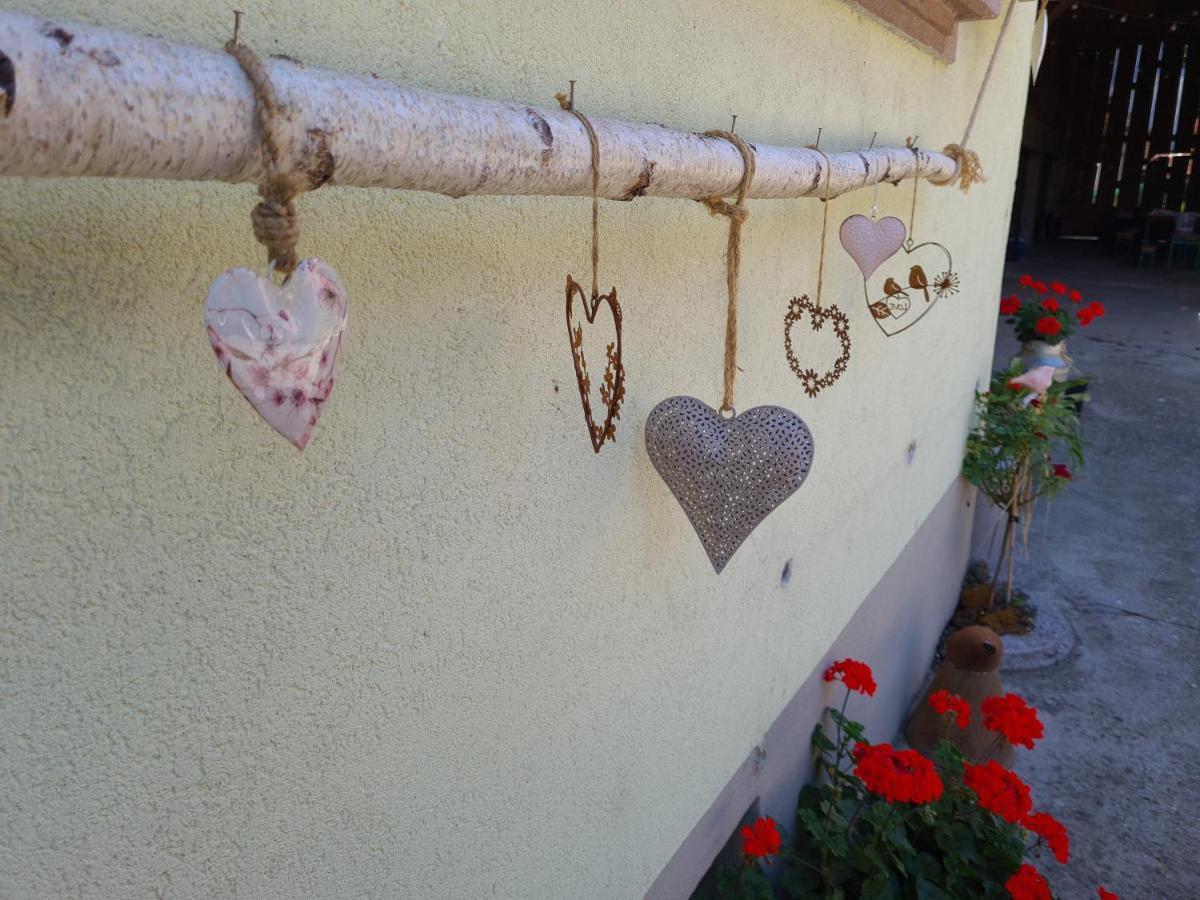 Gite Le Coeur D'Alsace Boofzheim Exterior photo